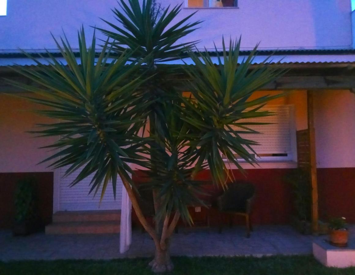 דלטברה Casablanca El Petit Hotel מראה חיצוני תמונה
