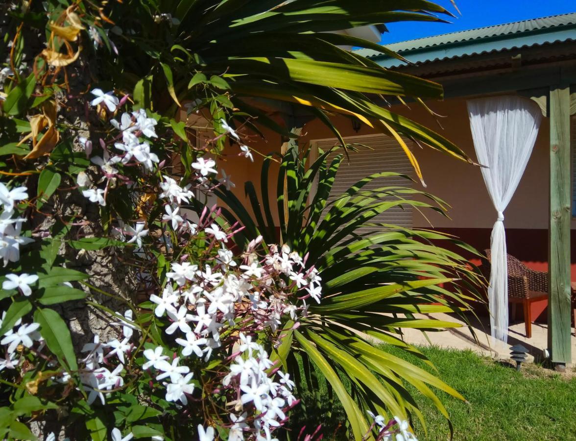 דלטברה Casablanca El Petit Hotel מראה חיצוני תמונה